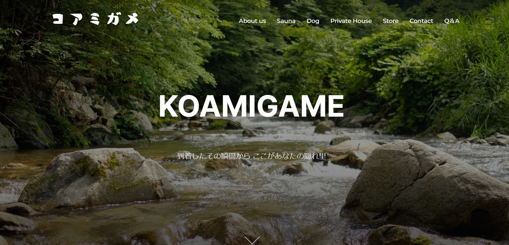 コアミガメ【茨城県】